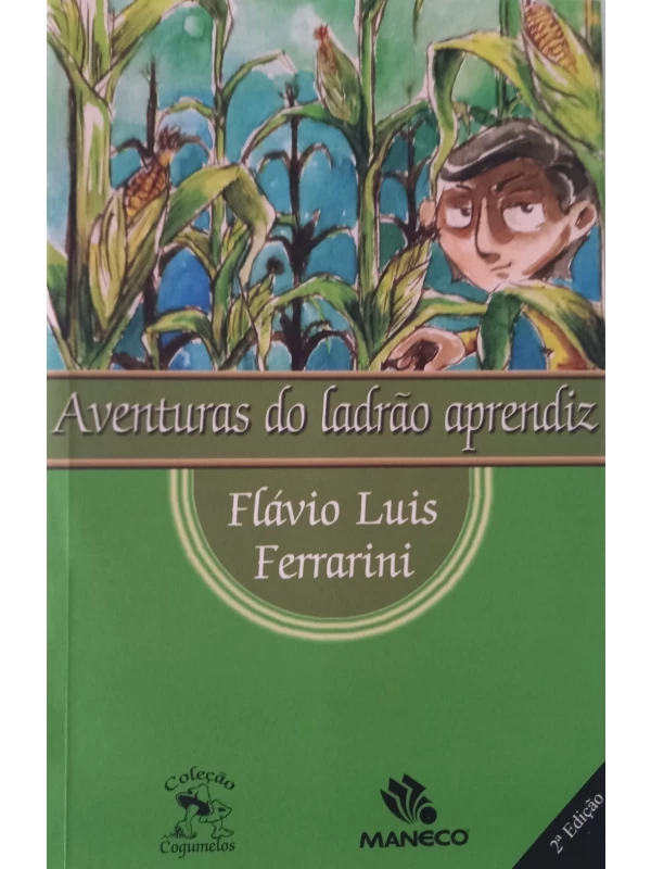AVENTURAS DO LADRÃO APRENDIZ