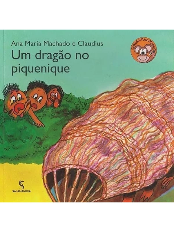 UM DRAGÃO NO PIQUENIQUE