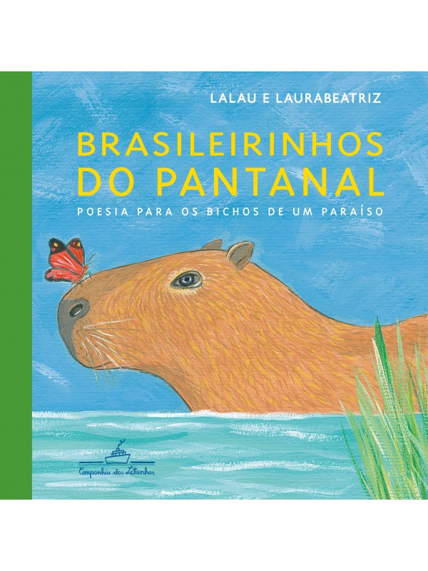 BRASILEIRINHOS DO PANTANAL