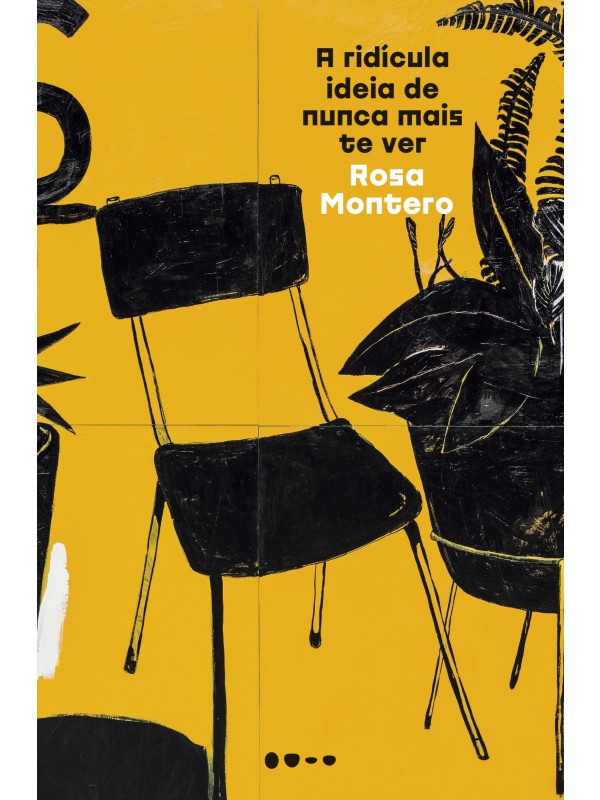 A RIDÍCULA IDEIA DE NUNCA MAIS TE VER