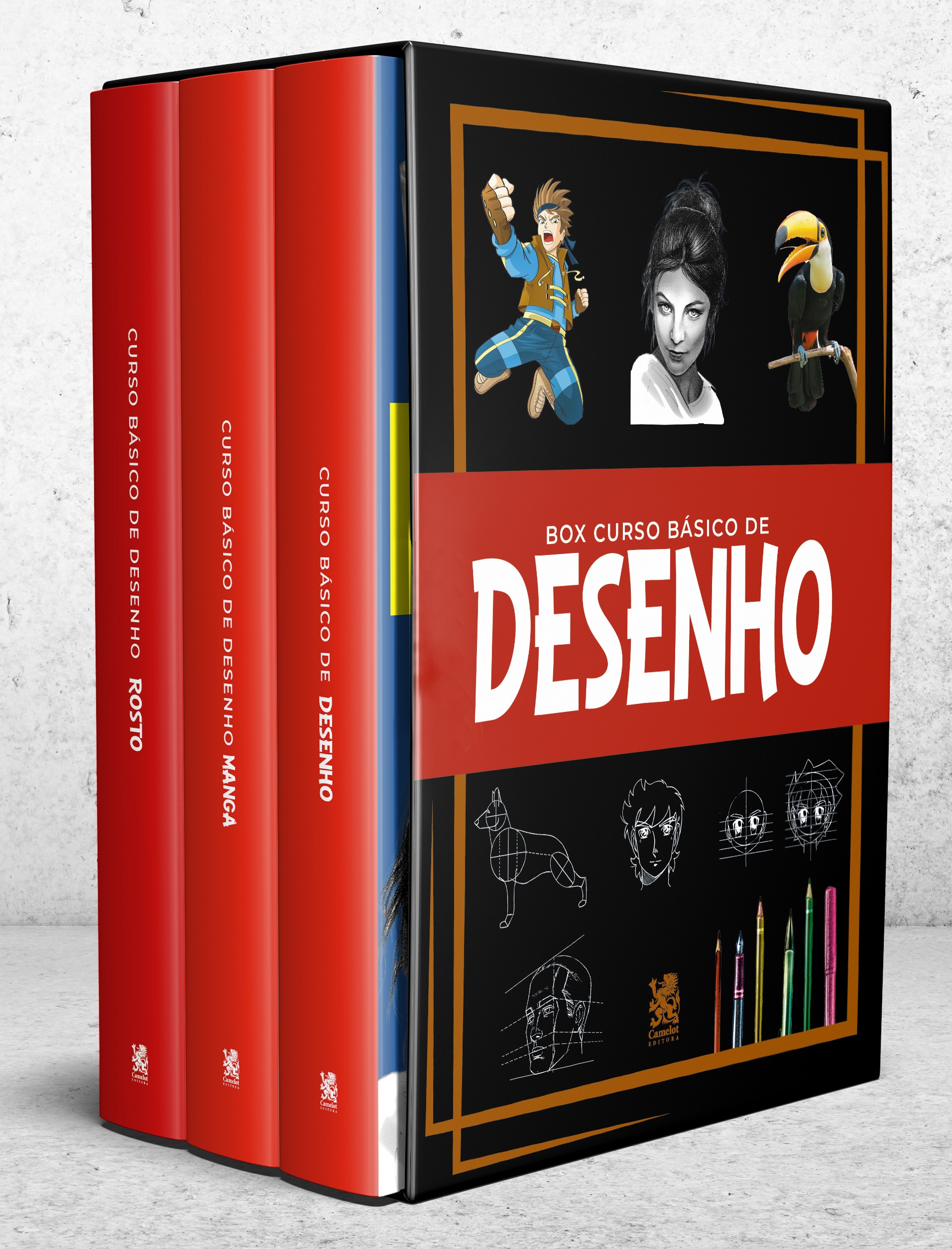 BOX CURSO BÁSICO DE DESENHO 