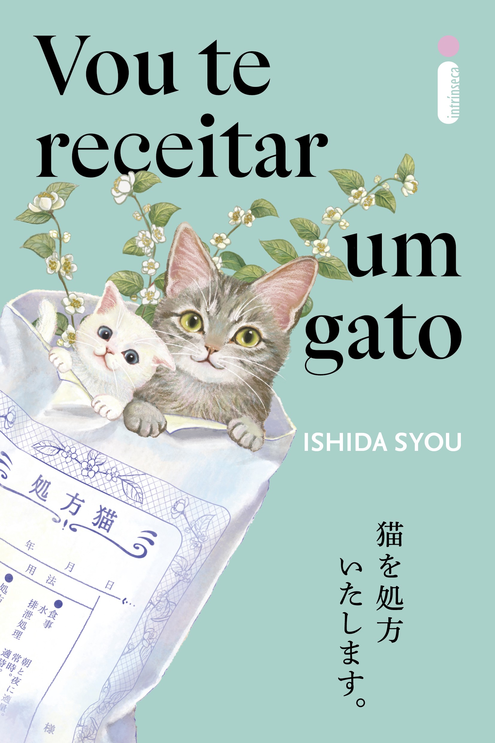 VOU TE RECEITAR UM GATO